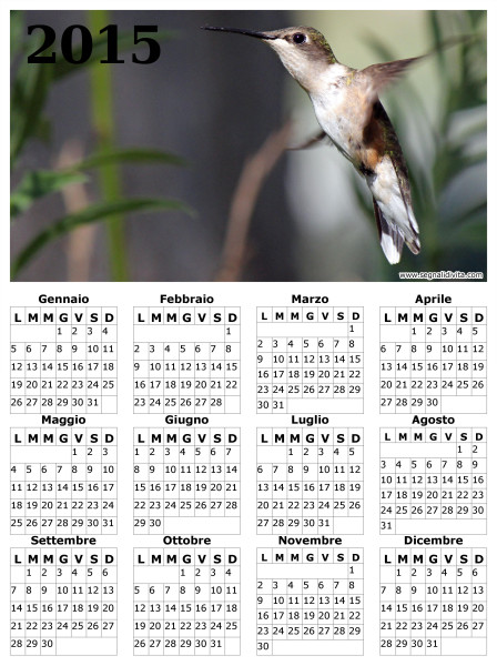 Calendario con colibri del 2015