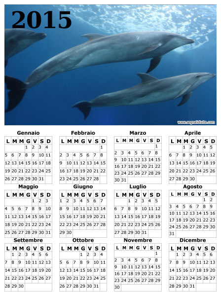 Calendario delfini del 2015
