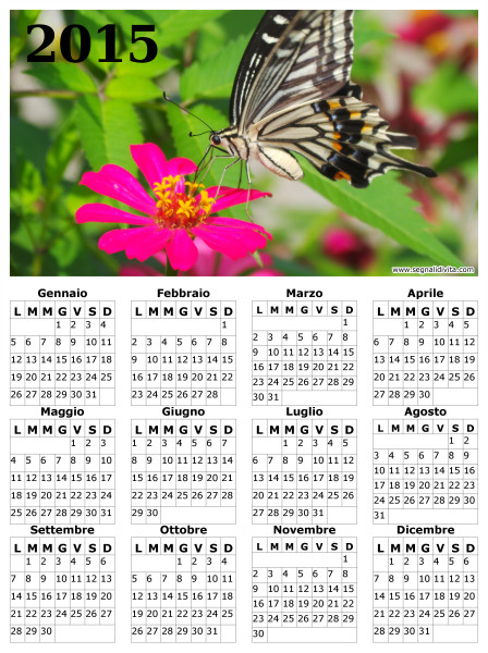Calendario con farfalla del 2015