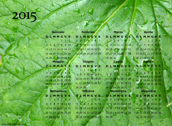 Calendario foglia del 2015