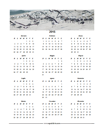 Calendario in PDF del 2015 Gabbiani