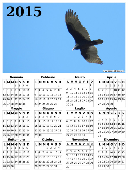 Calendario il volo del 2015
