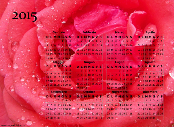 Calendario della rosa del 2015