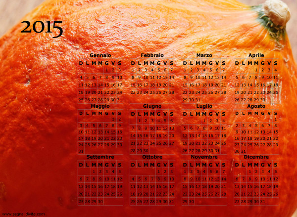 Calendario zucca del 2015