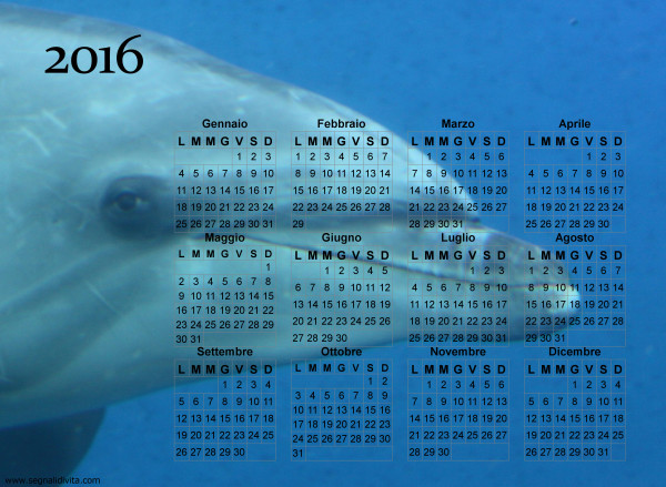 Calendario delfino del 2016