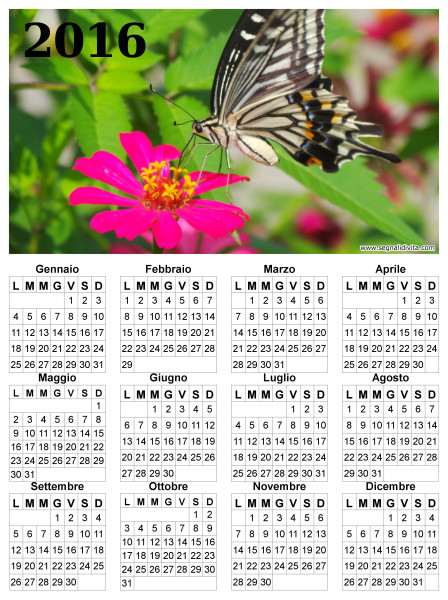 Calendario con farfalla del 2016