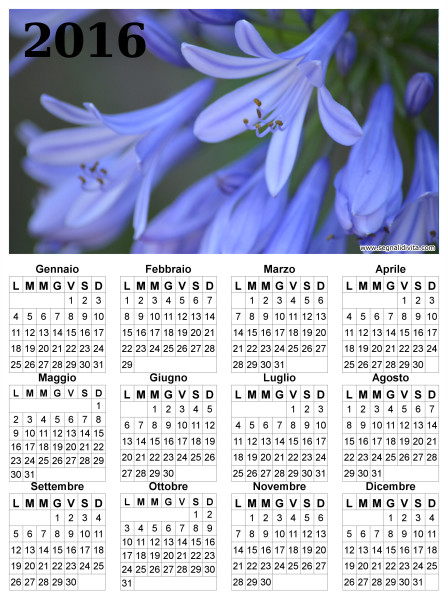 Calendario fiori del 2016