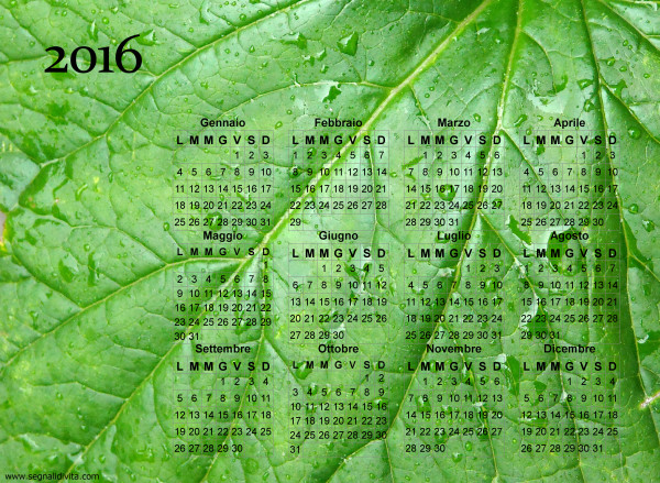 Calendario foglia del 2016
