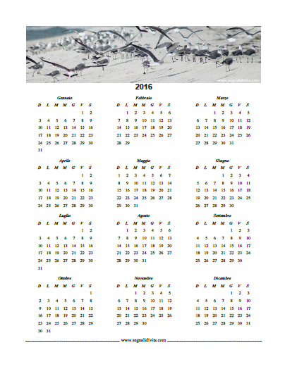 Calendario in PDF del 2016 Gabbiani