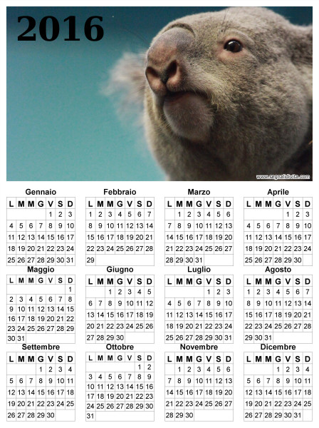 Calendario con Koala del 2016