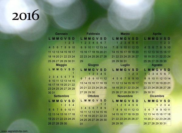 Calendario dei riflessi del 2016
