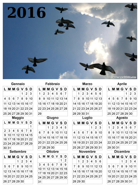 Calendario uccelli in volo del 2016