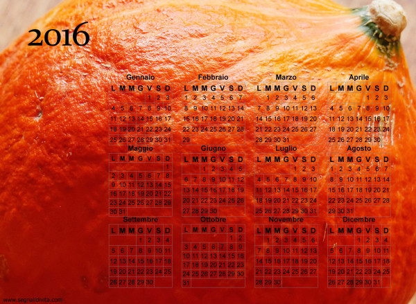 Calendario zucca del 2016