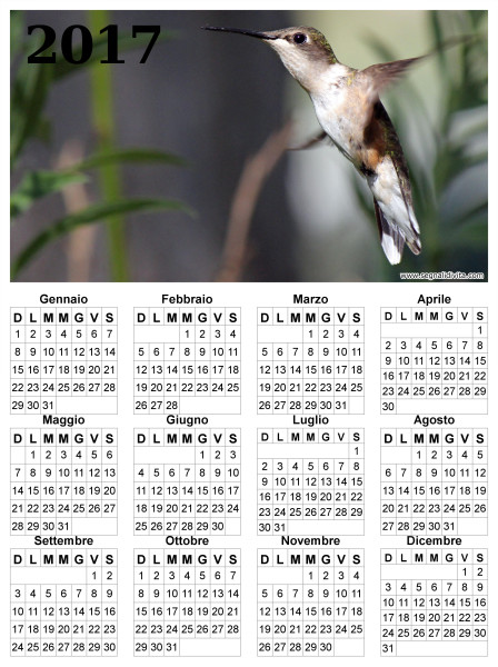Calendario con colibri del 2017