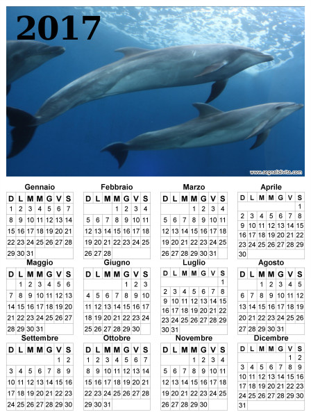 Calendario delfini del 2017