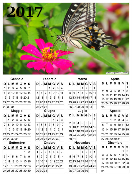 Calendario con farfalla del 2017