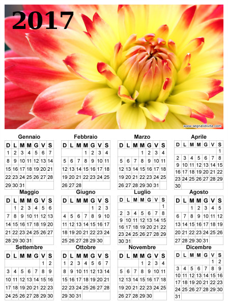 Calendario con fiore del 2017