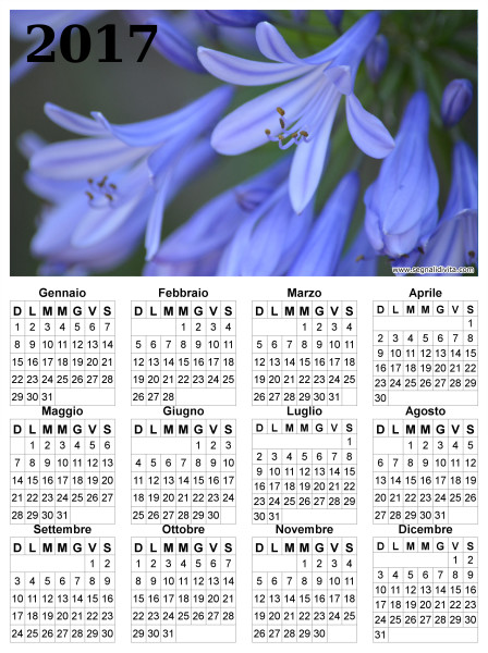 Calendario fiori del 2017