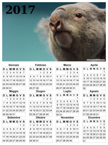 Calendario con Koala del 2017