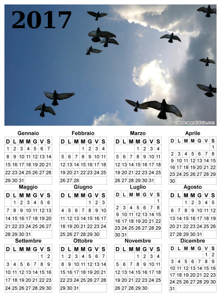 Calendario uccelli in volo del 2017