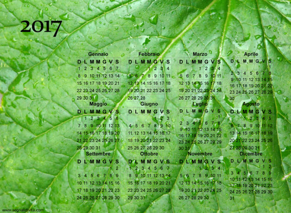 Calendario foglia del 2017