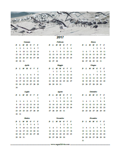 Calendario in PDF del 2017 Gabbiani