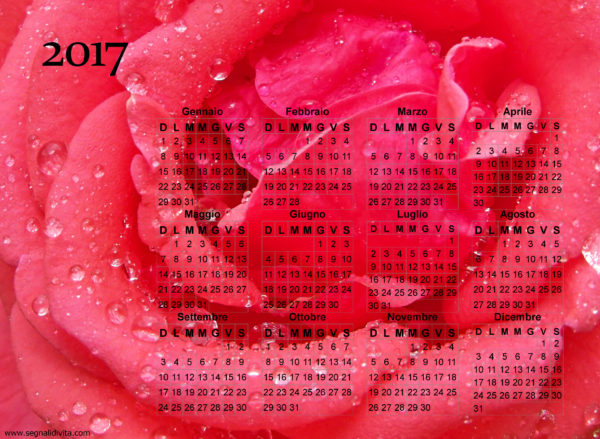 Calendario della rosa del 2017