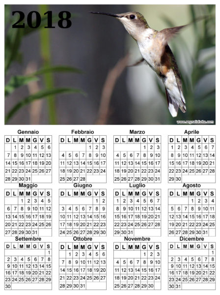 Calendario con colibri del 2018