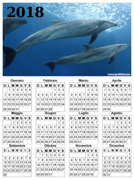 Calendario delfini del 2018