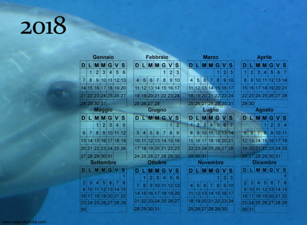 Calendario delfino del 2018