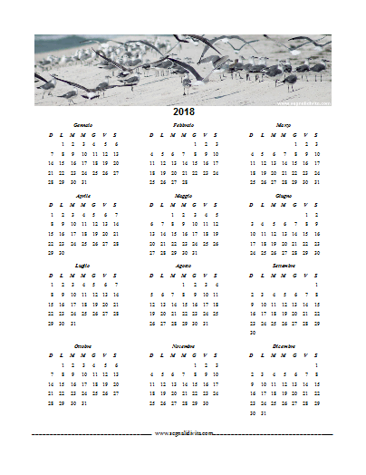 Calendario in PDF del 2018 Gabbiani