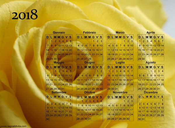 Calendario rosa gialla del 2018