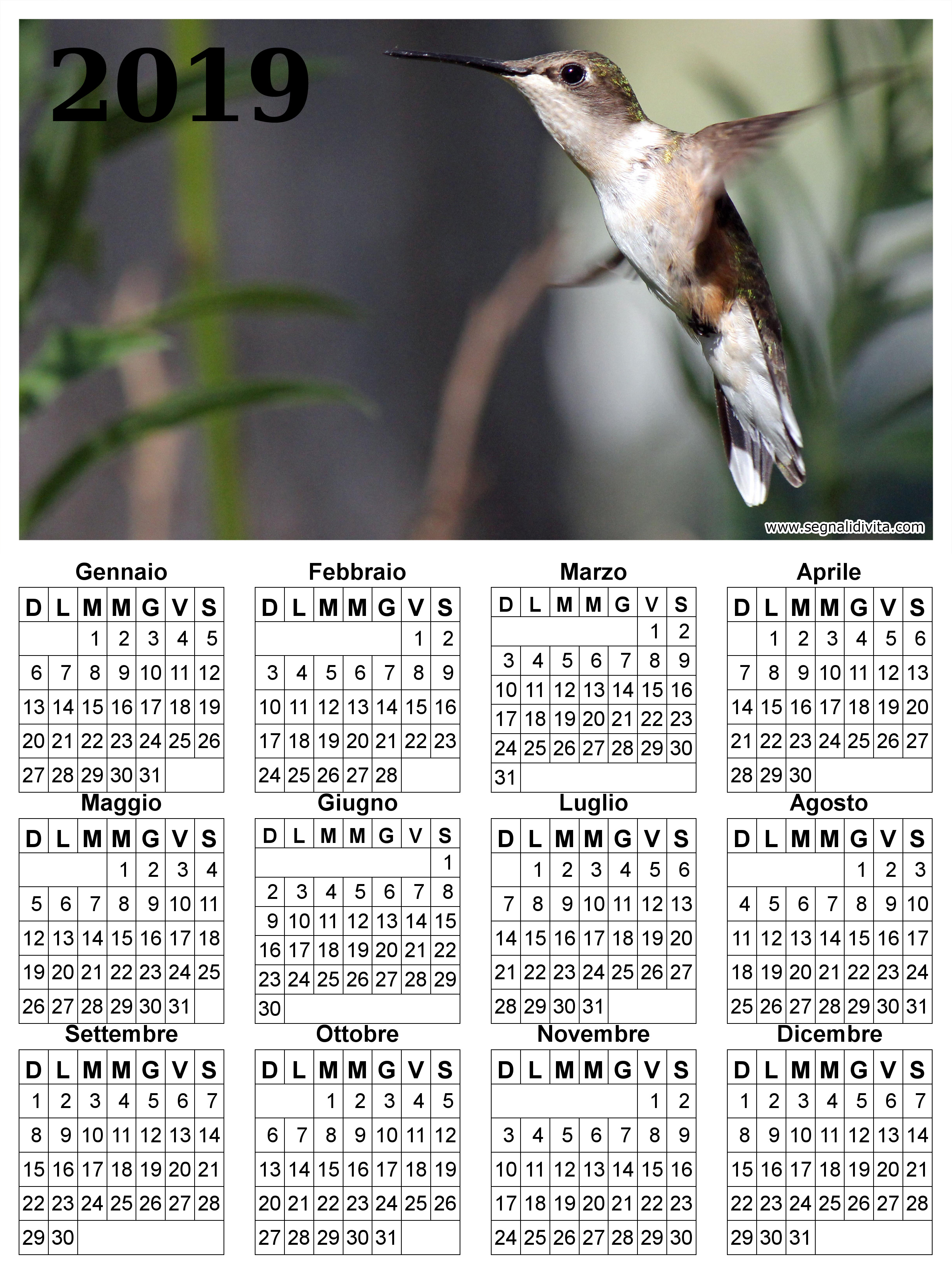 Calendario con colibri del 2019