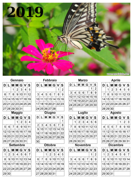 Calendario con farfalla del 2019
