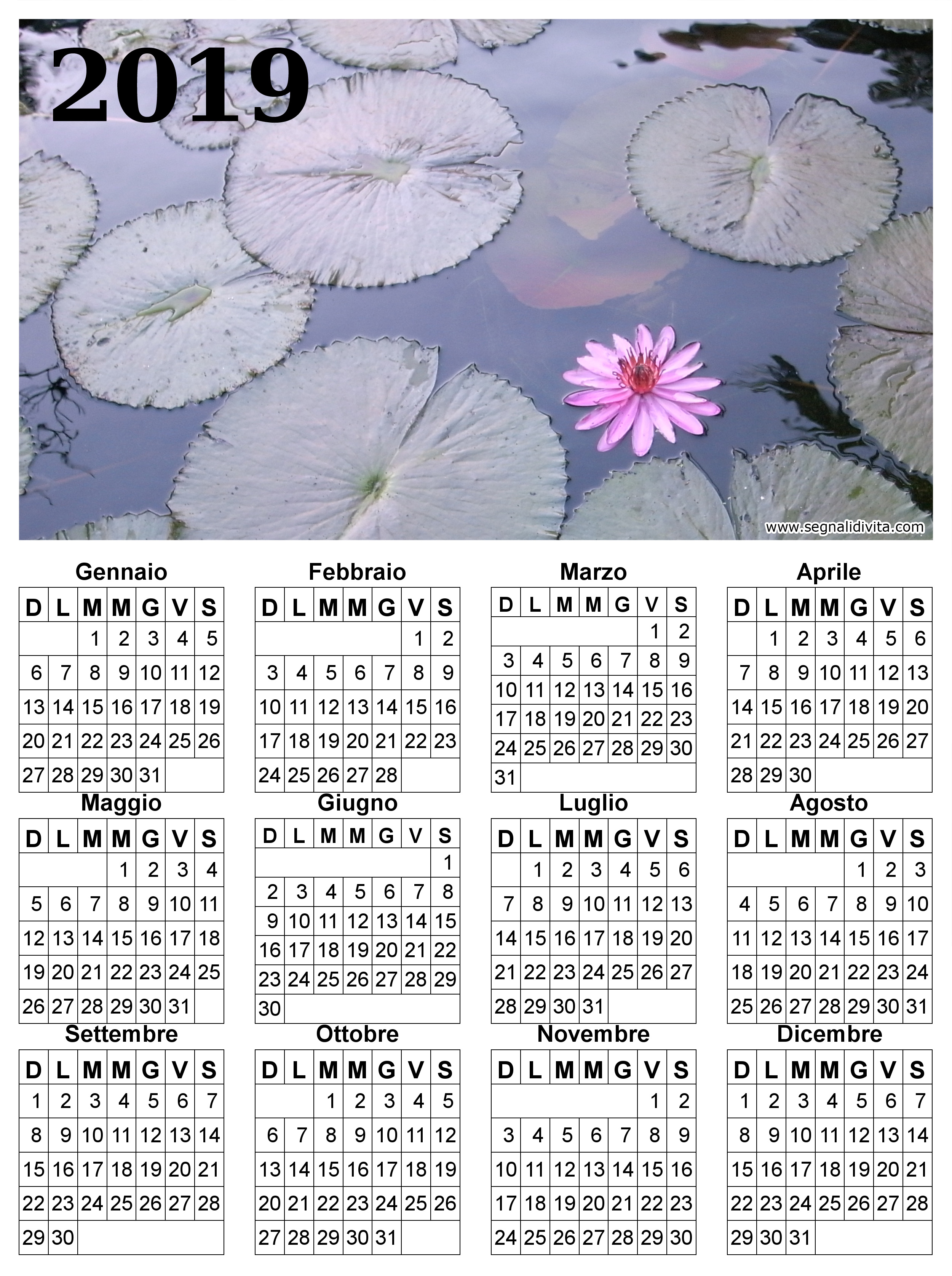 Calendario fior di loto del 2019