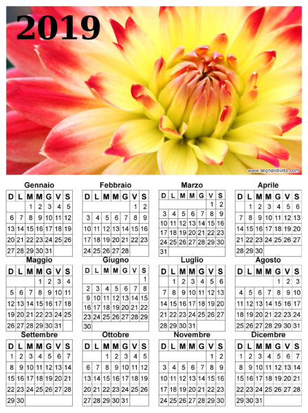 Calendario con fiore del 2019