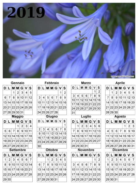 Calendario fiori del 2019