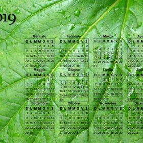 Calendario foglia del 2019