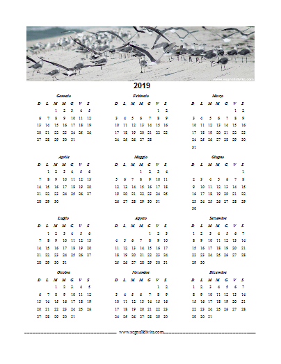 Calendario in PDF del 2019 Gabbiani