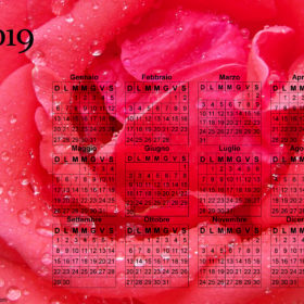 Calendario della rosa del 2019
