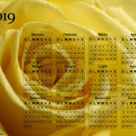 Calendario rosa gialla del 2019