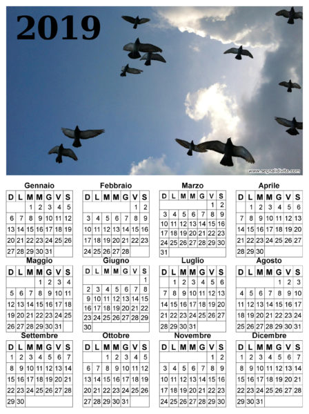 Calendario uccelli in volo del 2019