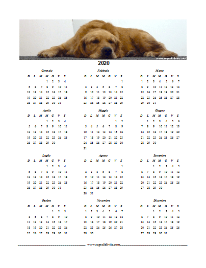 Calendario formato Word 2020 con cane