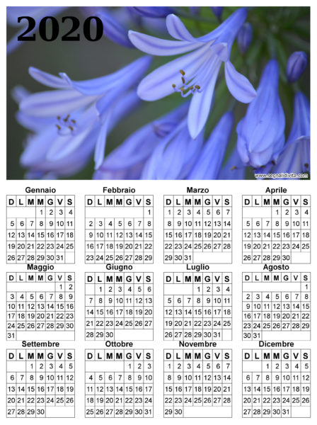 Calendario fiori del 2020