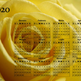 Calendario rosa gialla del 2020