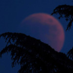 Eclisse Lunare - 1° immagine