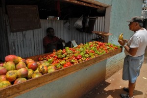 Banco frutta e verdura - Camaguey :: Cuba