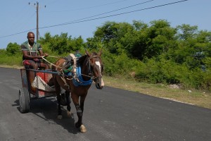 Carro con cavallo - Santiago di Cuba :: Cuba