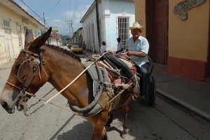 Carro e cavallo - Trinidad :: Cuba