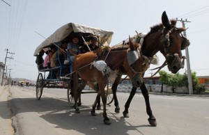 Carro trainato da cavalli - Santiago di Cuba :: Cuba